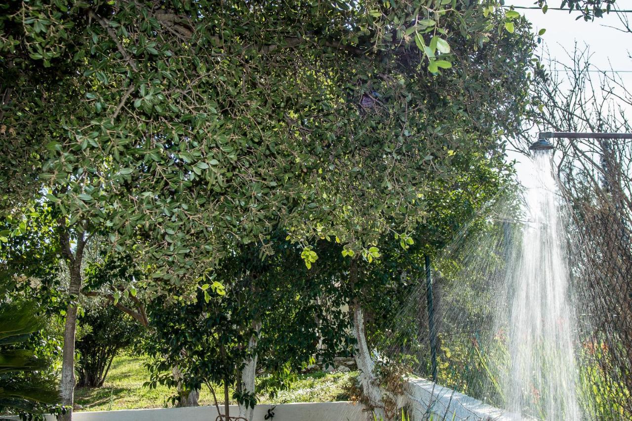 Villa Aelia - A Peaceful And Private Place Argostoli  Exterior photo